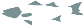 Icon Logo Donker Visje